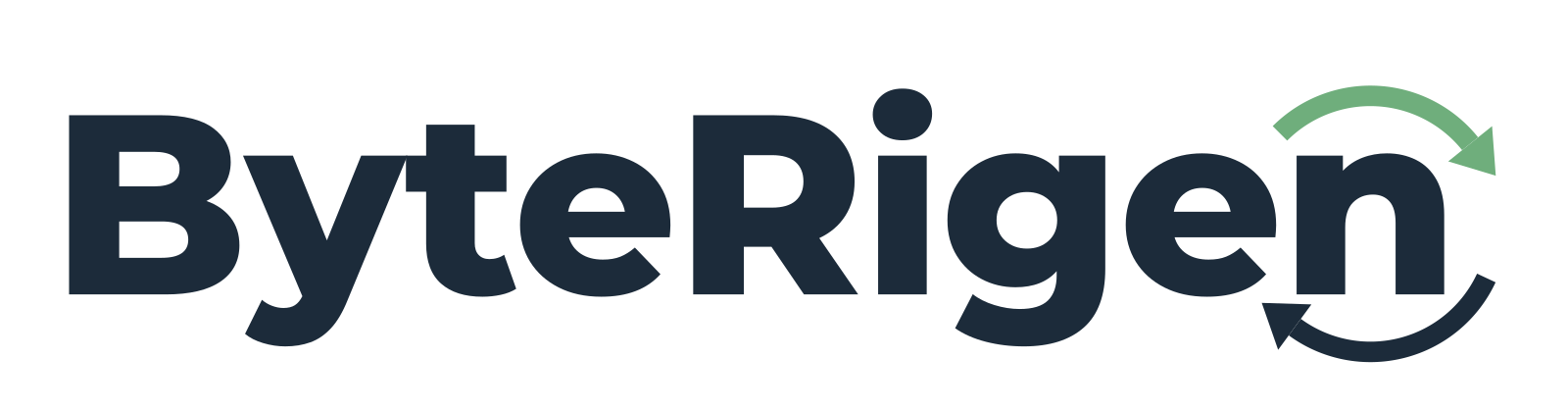 ByteRigen